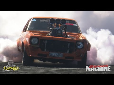 VIDEO: PEPER IT HAS AN ARGUMENT WITH THE WALL!!